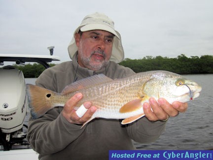 Click to Enlarge Photo