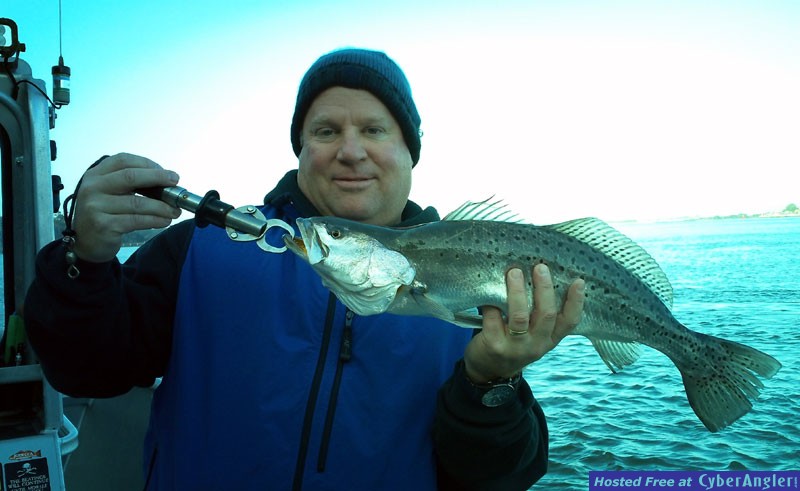 www.captdaves.com