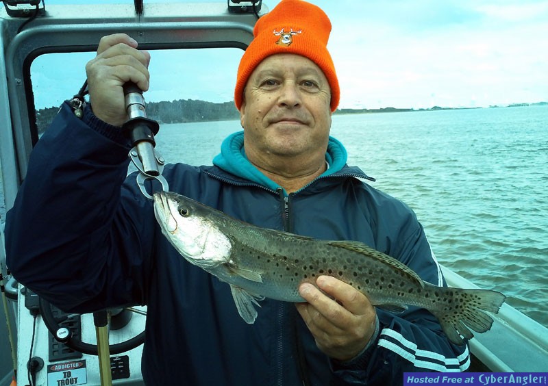 www.captdaves.com