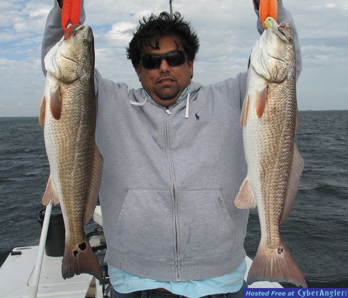 New Bait taking over Mosquito Lagoon