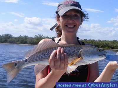 Click to Enlarge Photo