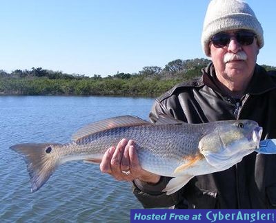 Click to Enlarge Photo