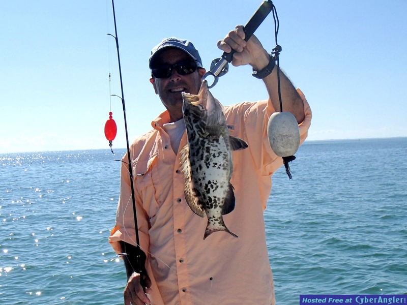 Rick_n_gag_grouper