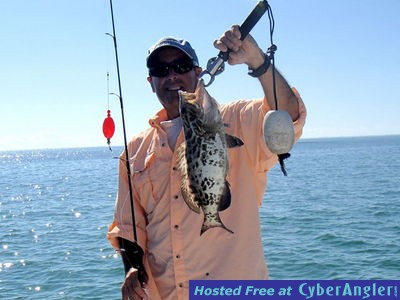 Click to Enlarge Photo