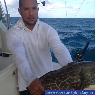 Black Grouper on the Troll