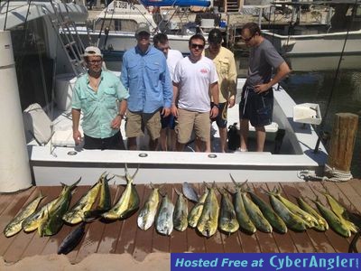 dolphin fishing charter islamorada florida keys