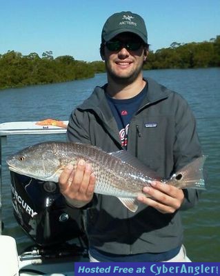 November_2012_redfish_William_Gilbert