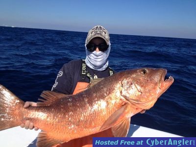 Click to Enlarge Photo