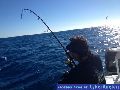 Click to Enlarge Photo