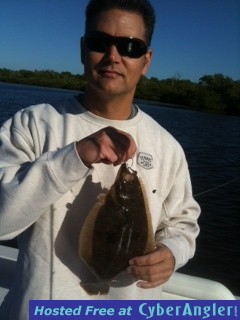 flounder11