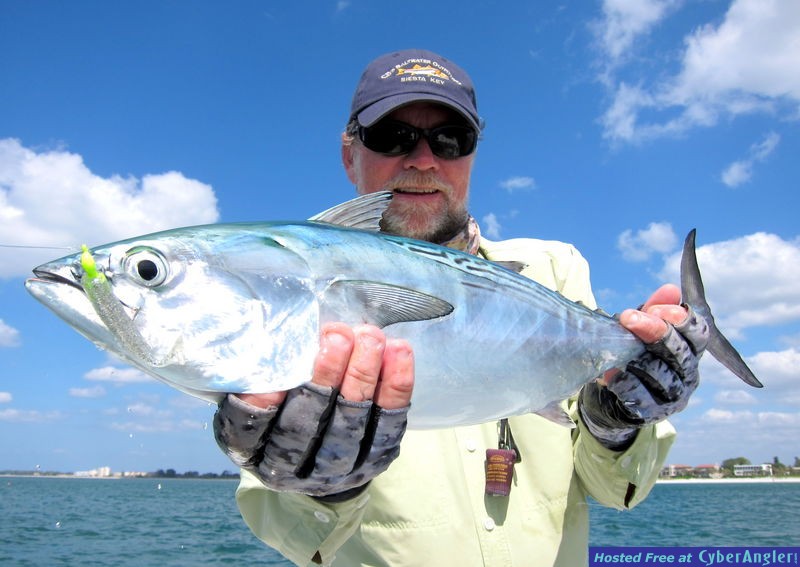 Spectacular Sarasota