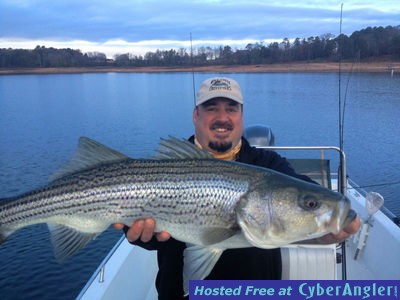 Click to Enlarge Photo