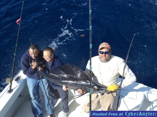 Hooked Up Sportfishing - Captain Taco - 954.764.4344