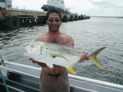 www.captdaves.com - One less in the pilings!