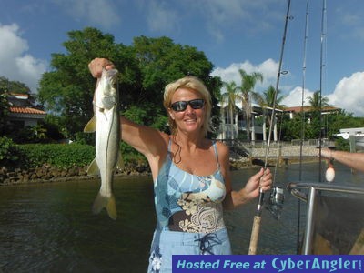 Click to Enlarge Photo