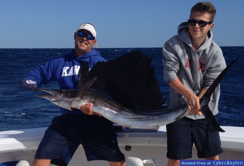 Islamorada Sea Horse Sailfish