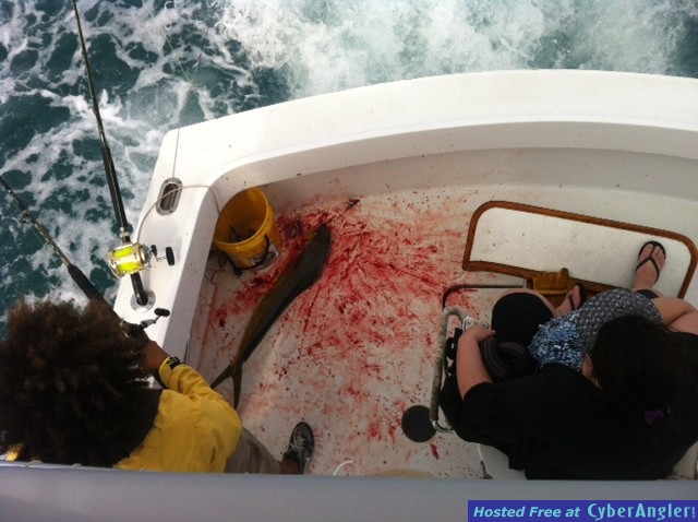 bloody_deck