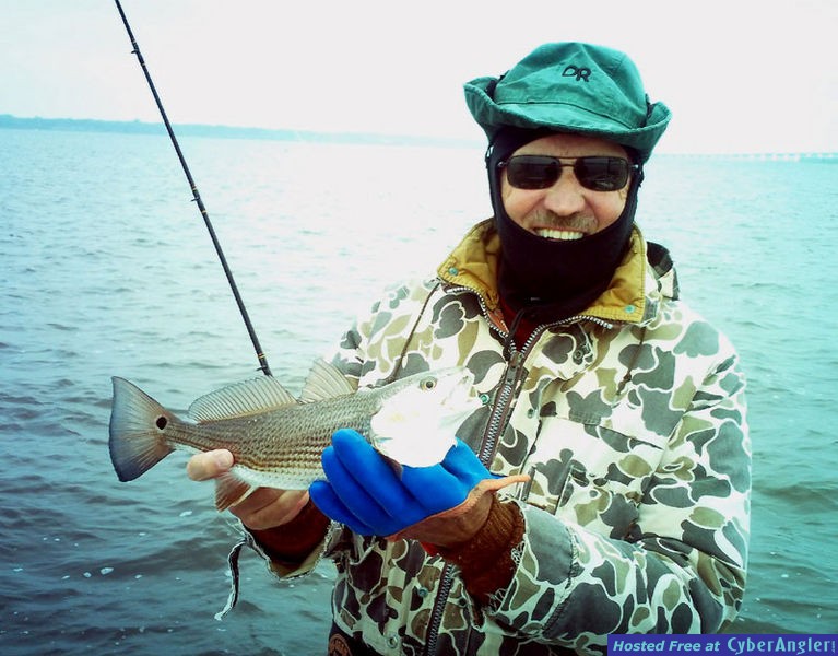 www.captdaves.com