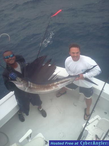sailfish jonas
