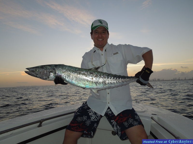 Sunset Kingfish