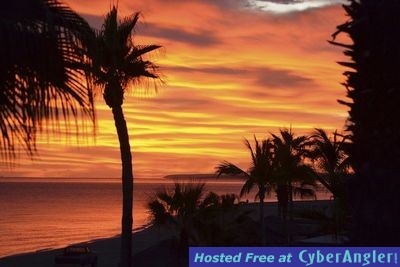 Click to Enlarge Photo