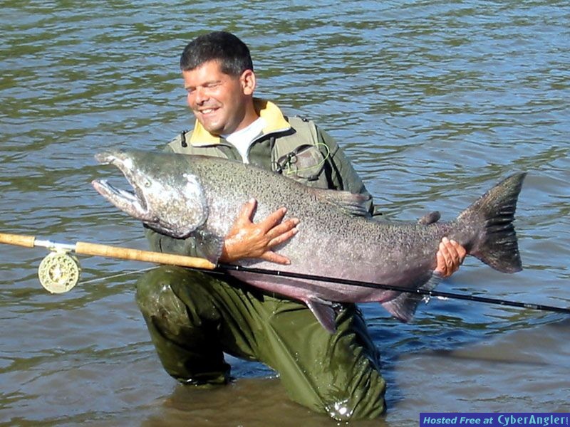 Spey fly fishing for Chinook