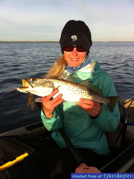 trout20
