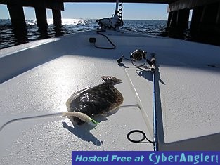 Bridge Flounder Fishing