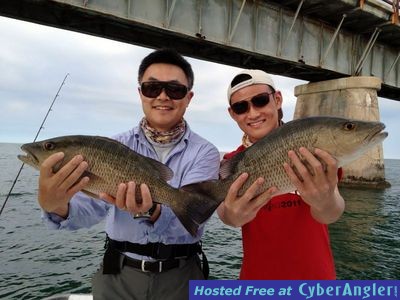 Click to Enlarge Photo