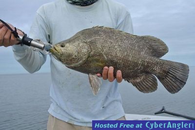 Click to Enlarge Photo