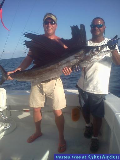 sailfish joe