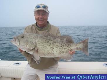 30-inch gag grouper