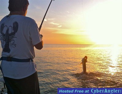 Boca Grande tarpon fishing sunset tarpon