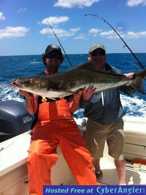 cobia