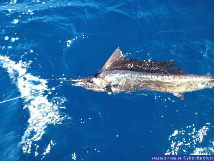 2013 Resolution: Catch More Fish