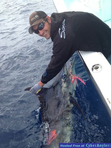 2013 Resolution: Catch More Fish
