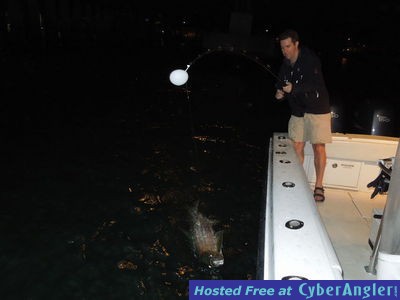 Bay caught tarpon