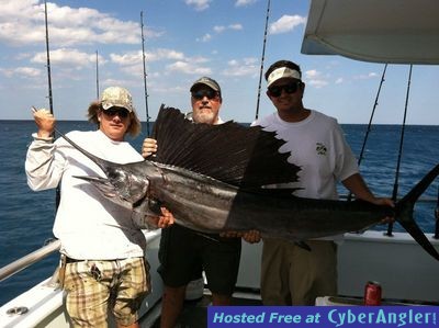 Sailfish have Arrived in Good Numbers this Season