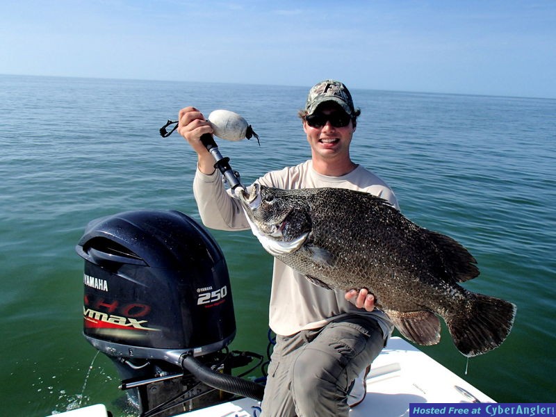 16_75_tripletail1