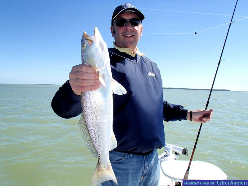 Gio_n_sea_trout2