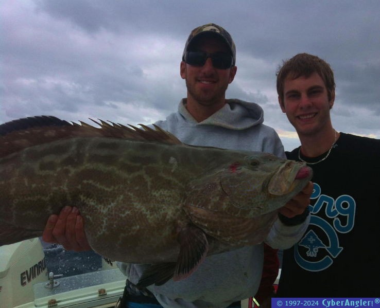 Big Black Grouper