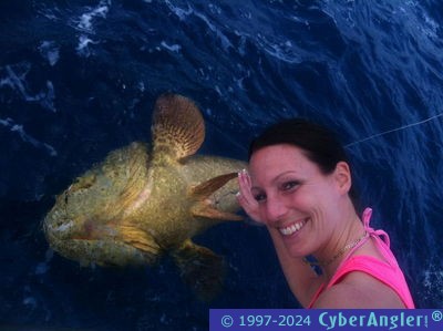 A Goliath Grouper tested our tackle