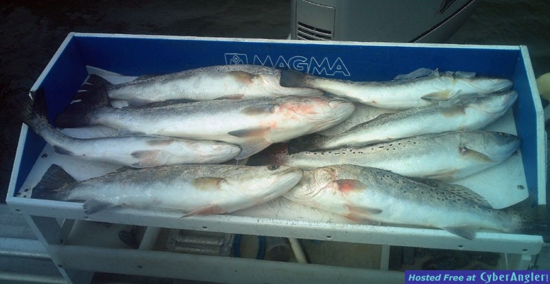 www.captdaves.com