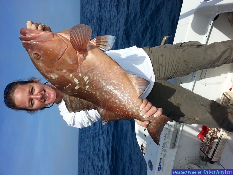 Bent Charters Red Grouper