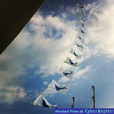 Click to Enlarge Photo