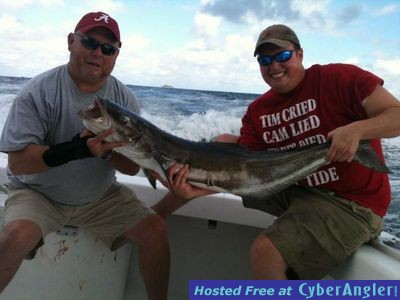 Another big cobia