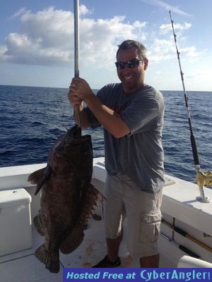 Nice warsaw grouper caught wreck fishing in Ft Lauderdale