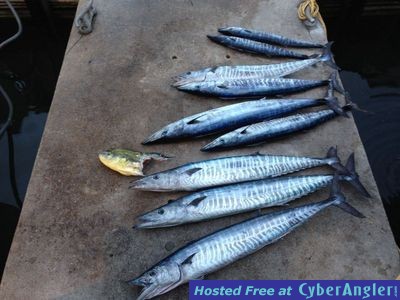 Click to Enlarge Photo