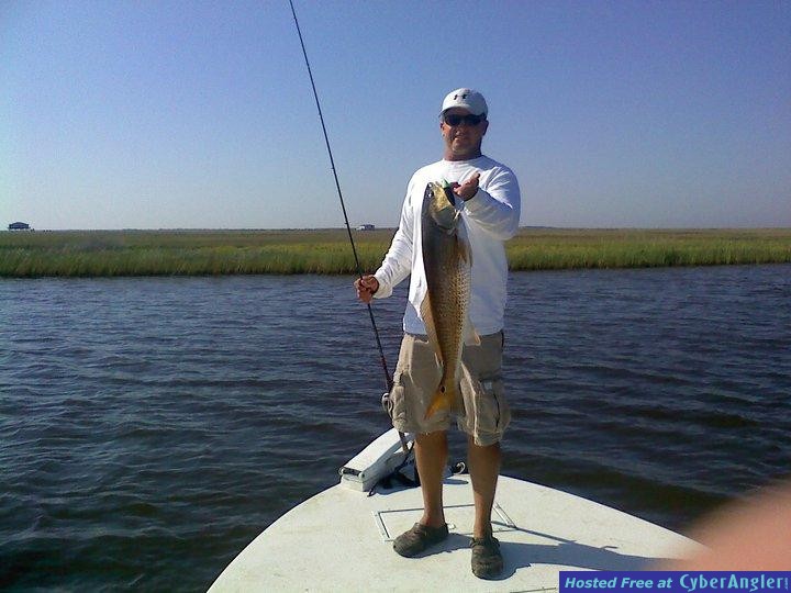 bayou1