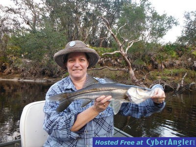 Click to Enlarge Photo